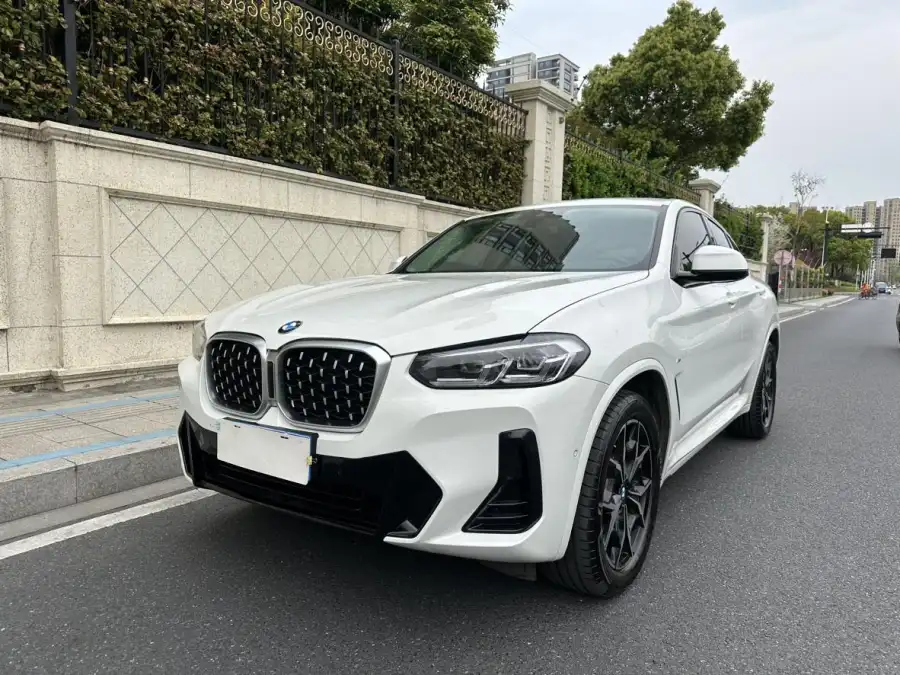BMW X4 xDrive 25i M