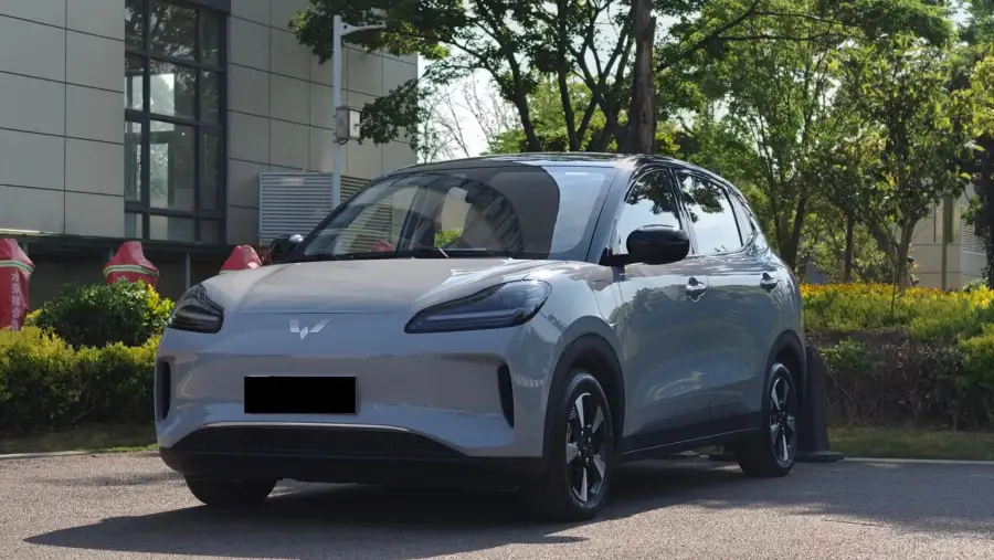 Wuling Bingo PLUS 401km Flagship