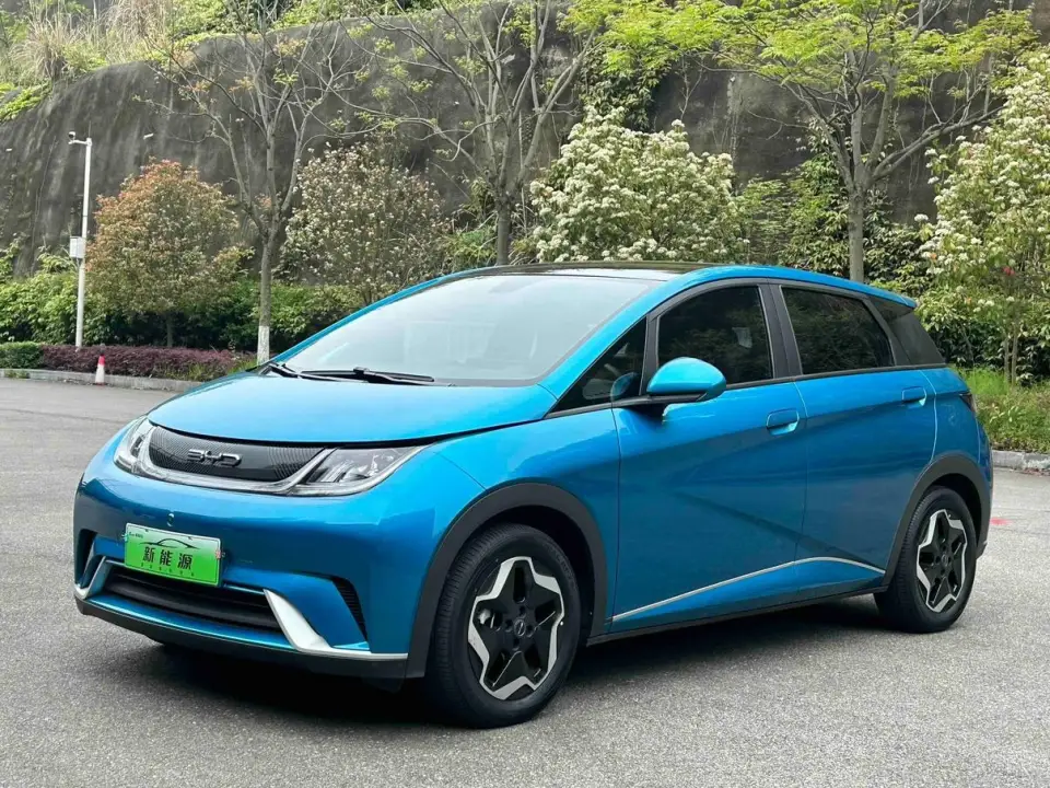 BYD Dolphin Style