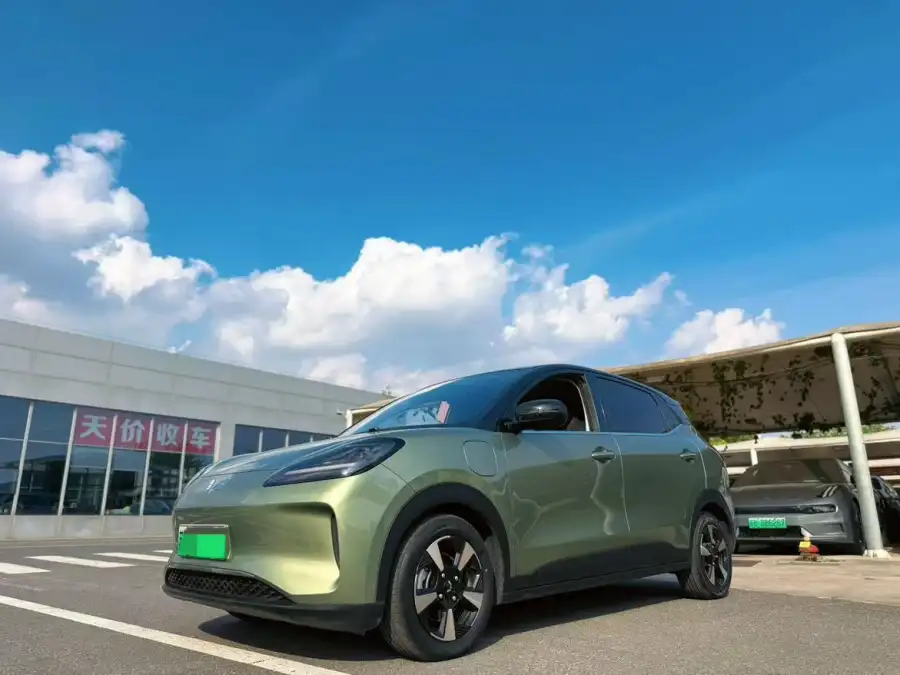 Wuling Bingo PLUS 510km Flagship