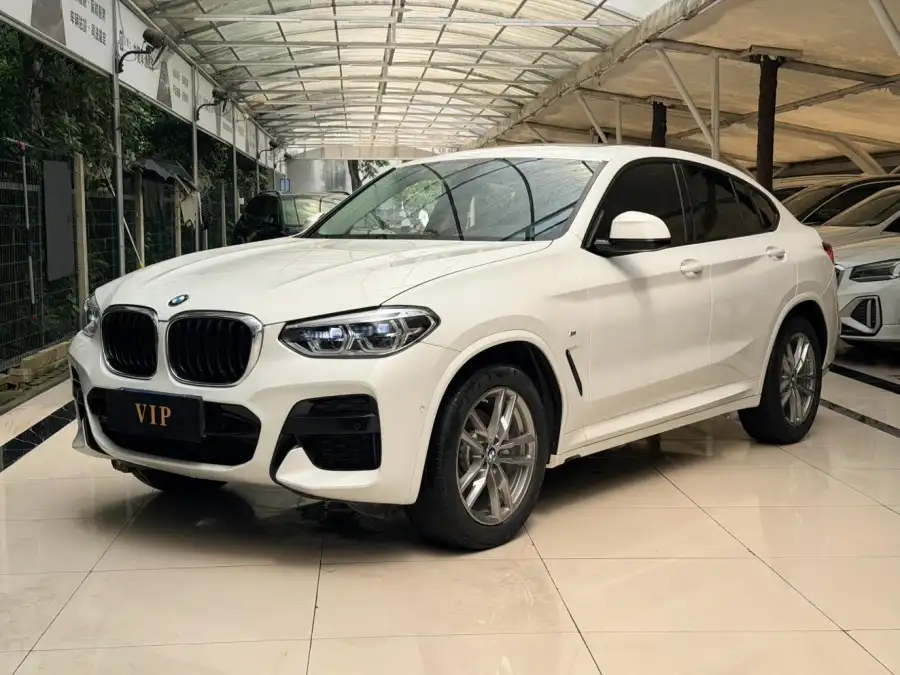 BMW X4 xDrive25i M