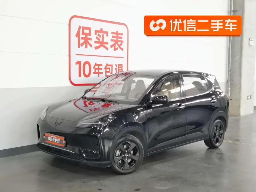 Wuling Bingo PLUS 510km Flagship