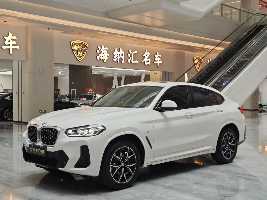 BMW X4 xDrive 25i M