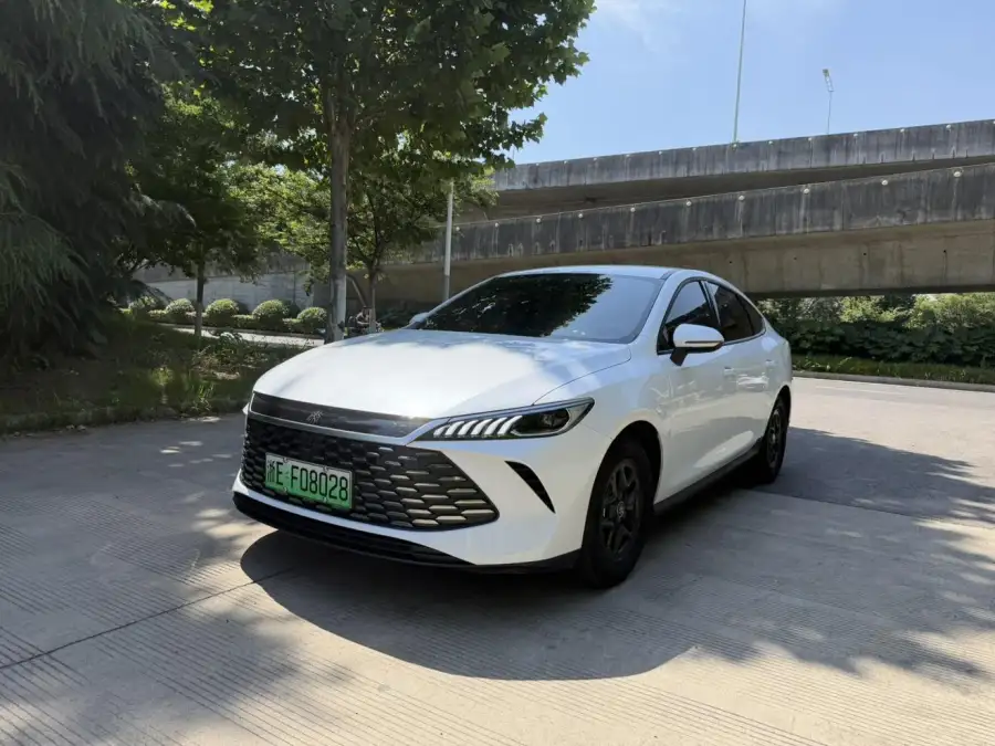 BYD Qin PLUS DM DM-i 55KM Lead