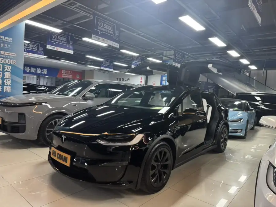 Tesla Model X Dual Motor