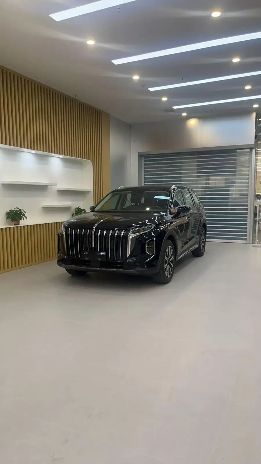 Hongqi HS7 PHEV 2.0T 4WD 6 мест