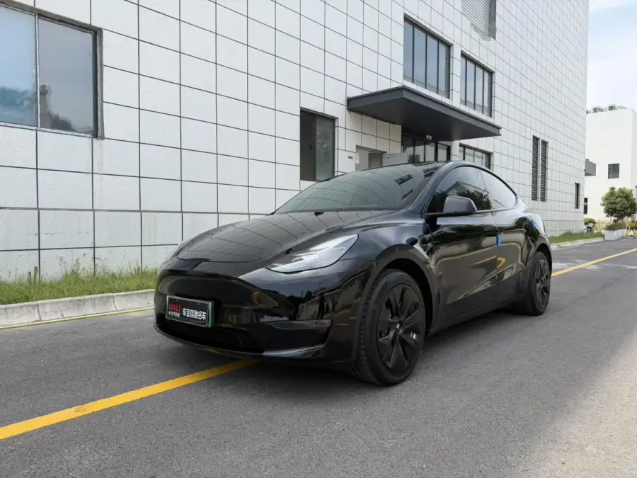 Tesla Model Y Long Range 3D3 3D7
