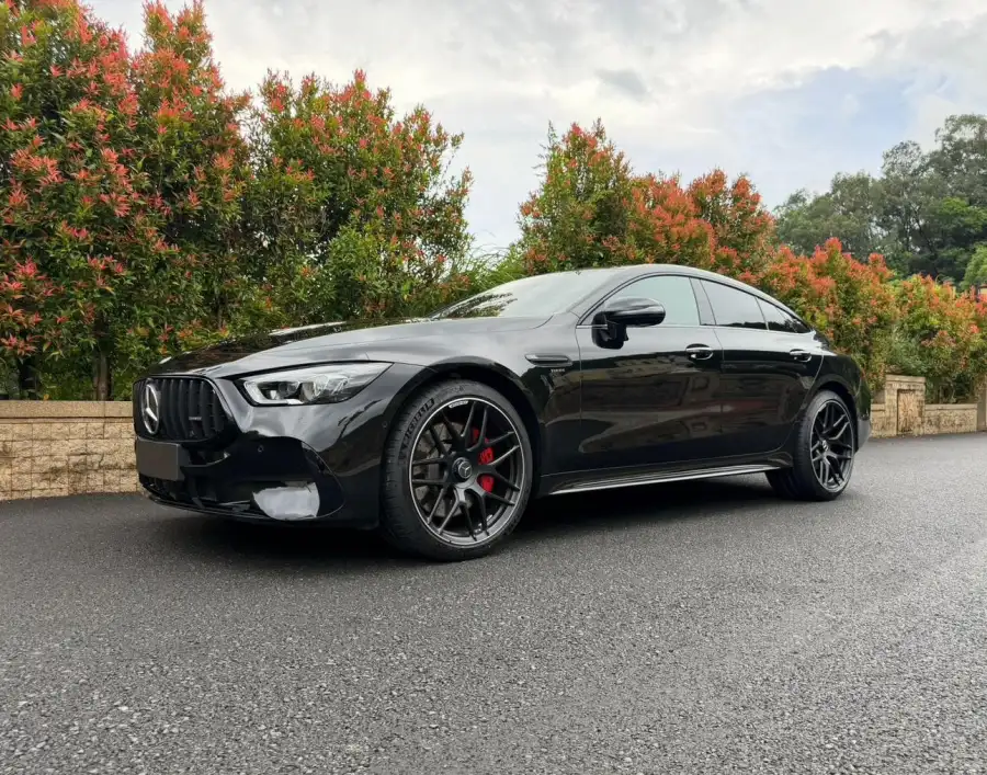 Mercedes-Benz AMG GT AMG GT 50