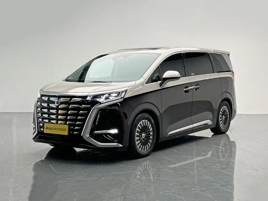Denza D9 DM PIONEER 4 места
