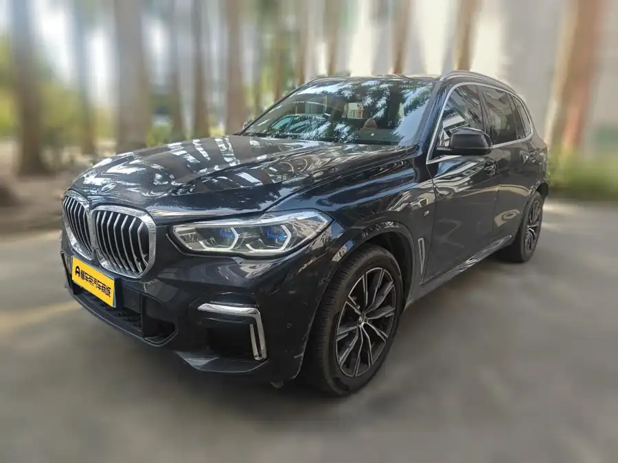 BMW X5 xDrive 30Li M