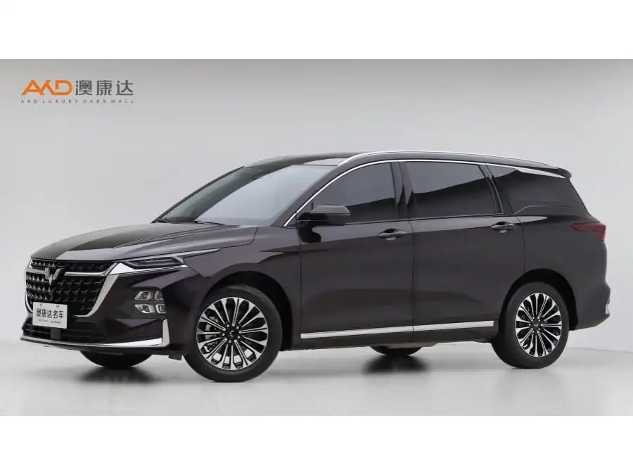 Wuling Victory 2.0L DHT