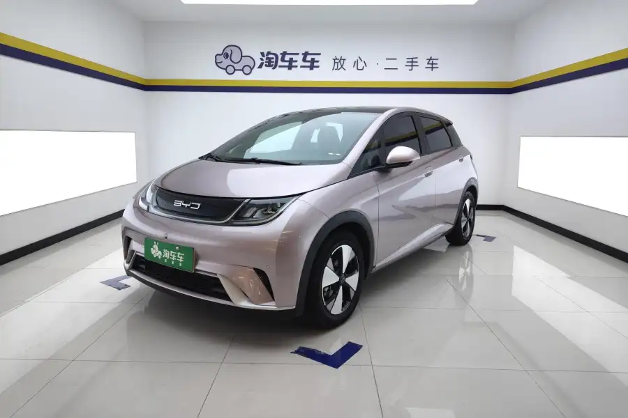 BYD Dolphin Style