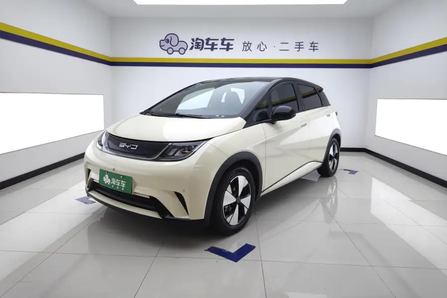 BYD Dolphin Style