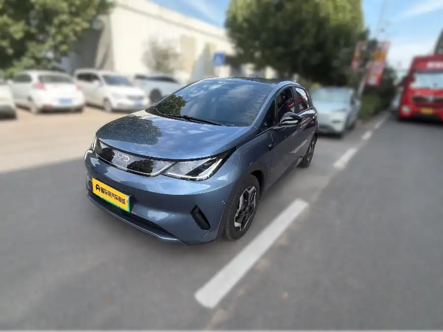 BYD Dolphin 420KM
