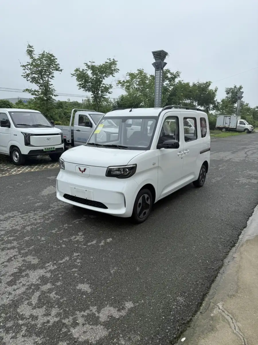 Wuling Sunshine EV Comfort