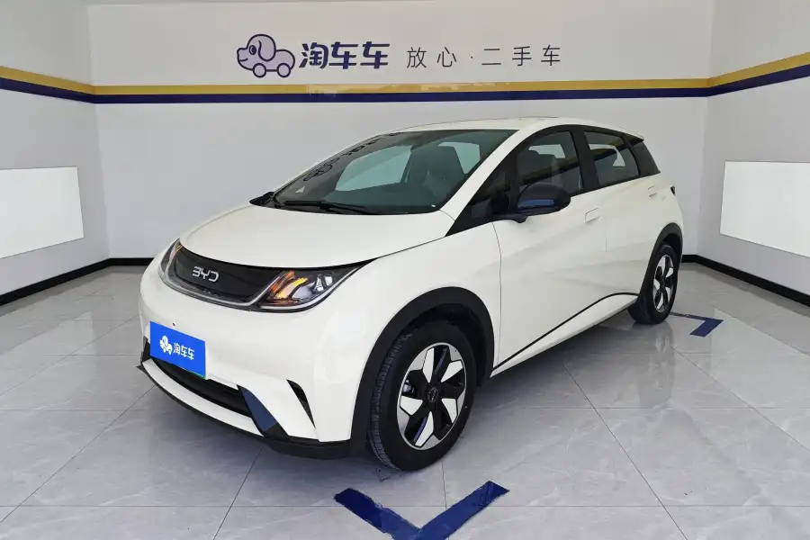 BYD Dolphin 420KM