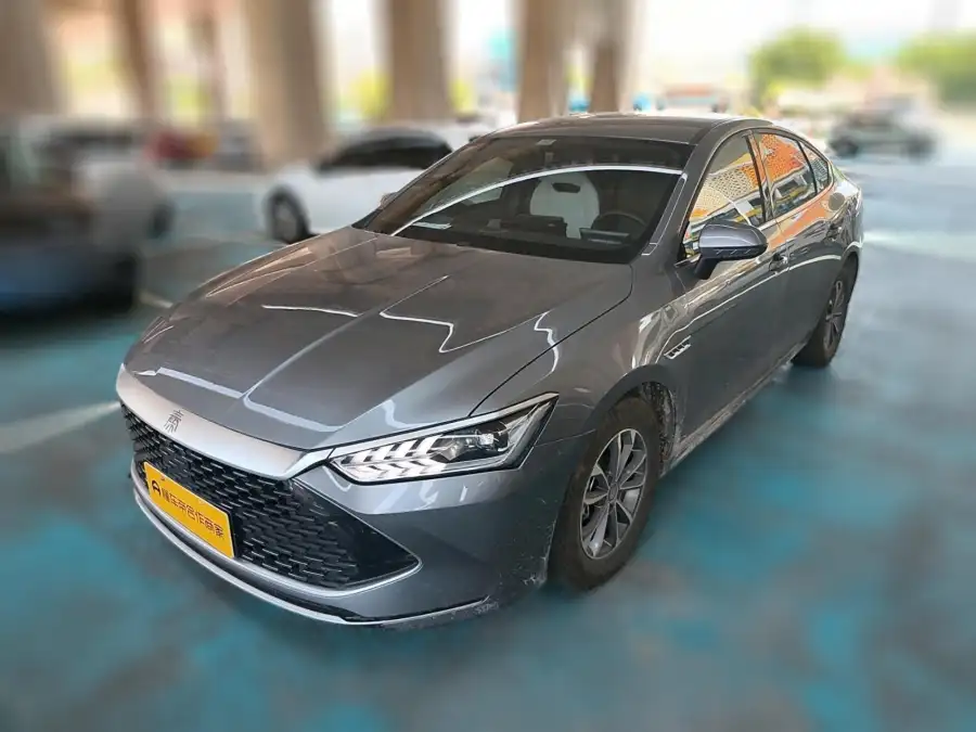 BYD Qin PLUS DM DM-i 55KM Lead