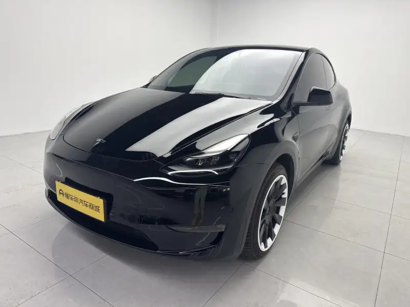 Tesla Model Y Long Range