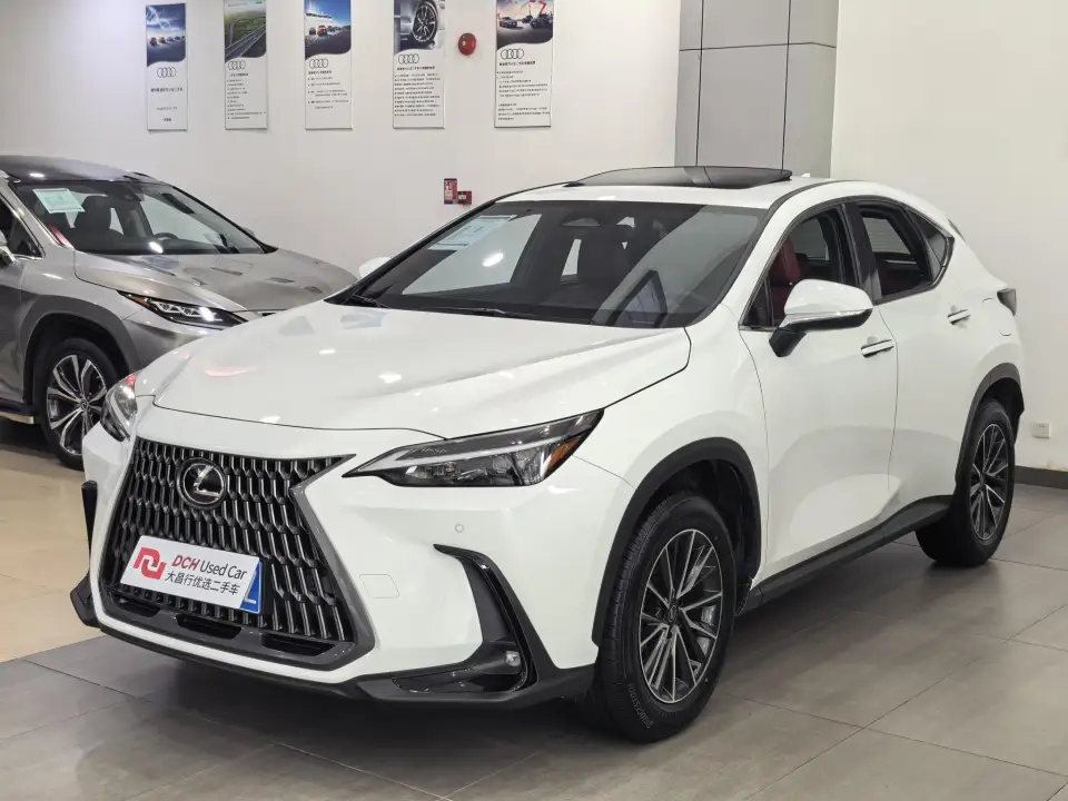 Lexus NX 200 2WD FUN