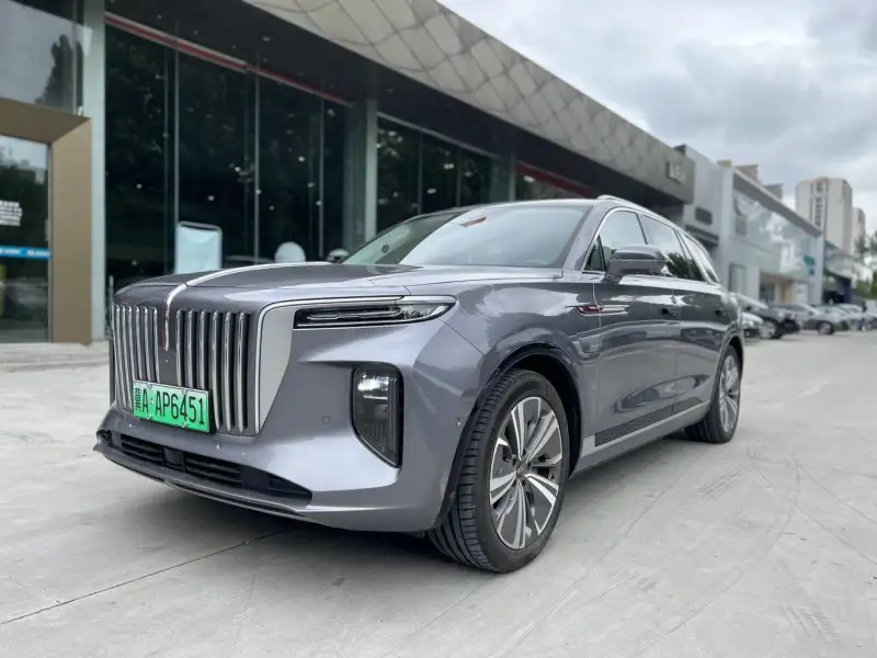 Hongqi E-HS9 660km 6 мест