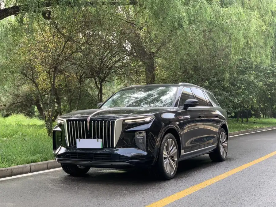 Hongqi E-HS9 690km 6 мест