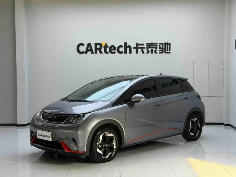 BYD Dolphin Style