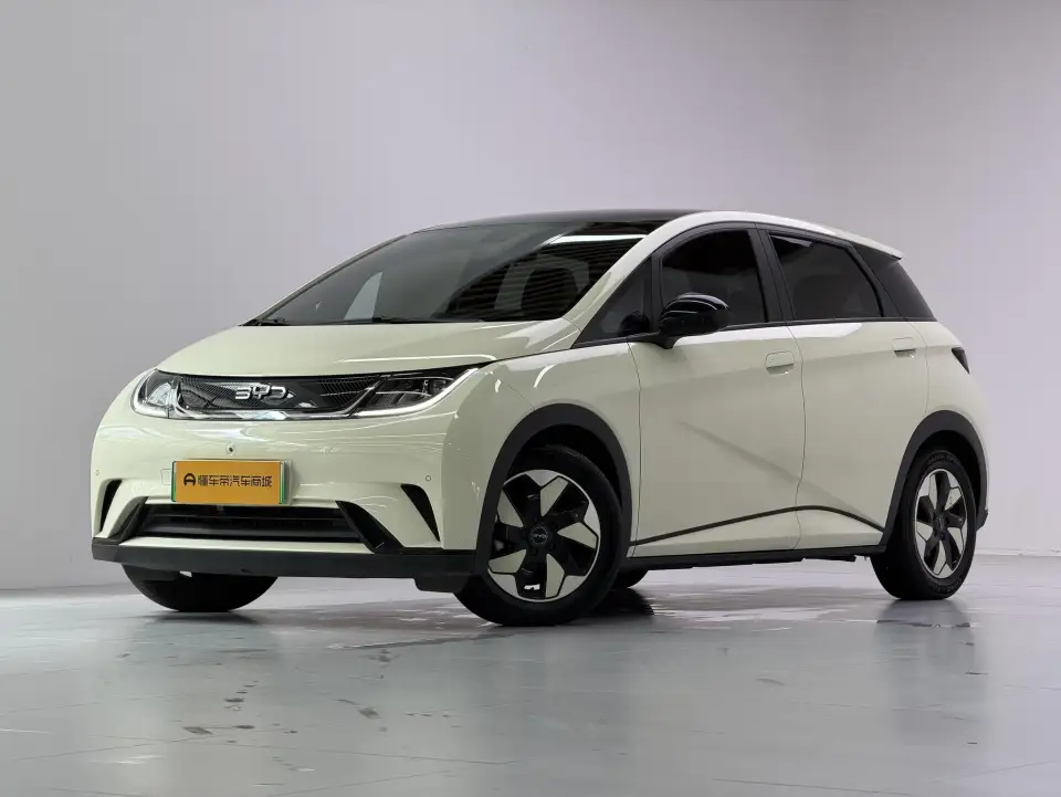 BYD Dolphin 420KM Style
