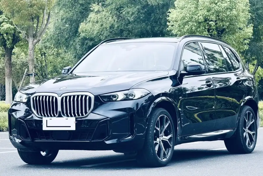 BMW X5 xDrive30Li M