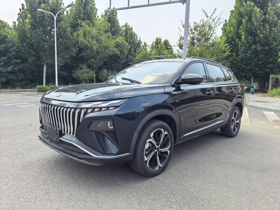 Dongfeng Aeolus Haoji 1.5T Premium
