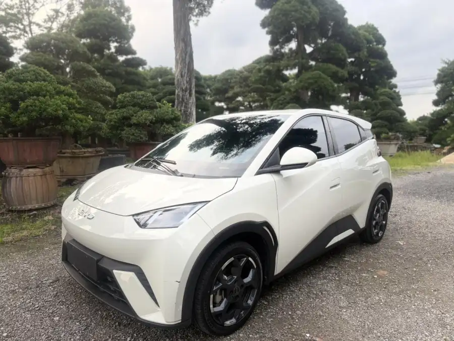 BYD Seagull 305KM