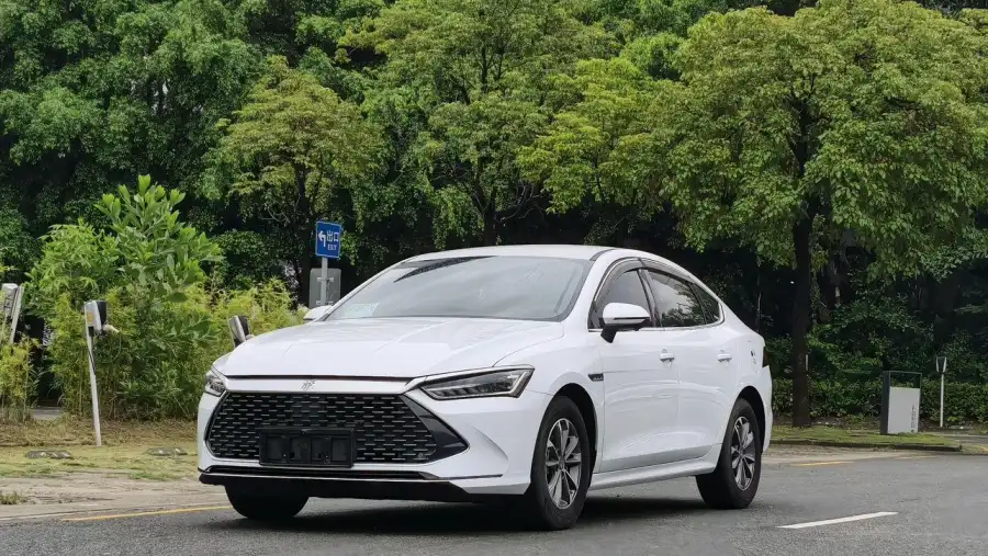BYD Qin PLUS DM DM-i 55KM Lead