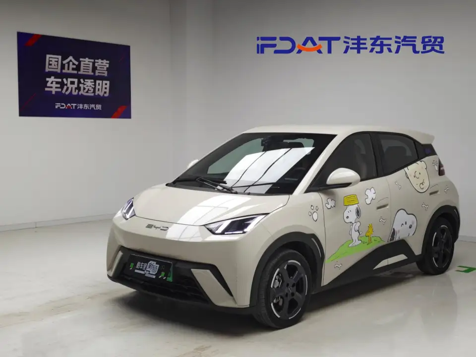 BYD Seagull