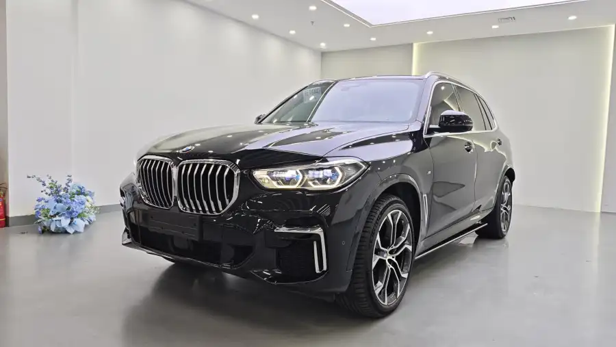 BMW X5 xDrive 40Li M