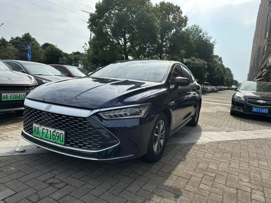 BYD Qin PLUS DM DM-i 55KM Lead