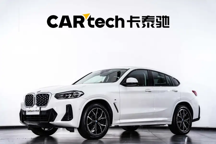BMW X4 xDrive 25i M