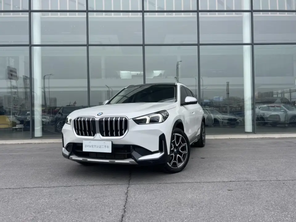 BMW X1 sDrive25Li X