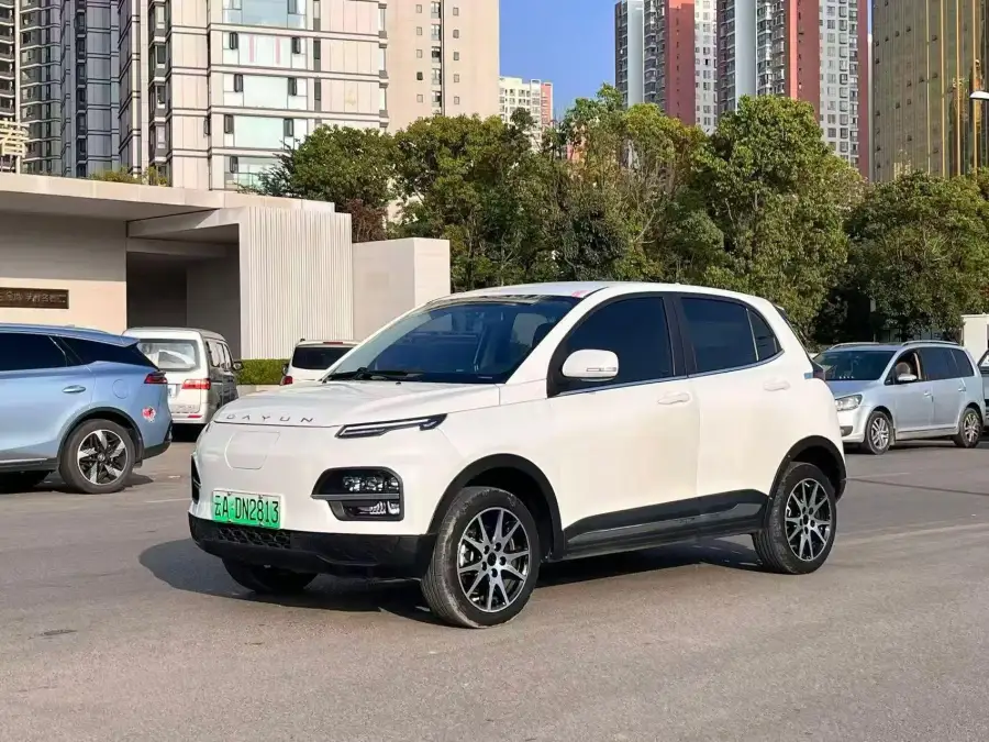 Dayun Yuehu 30.66KWh 2WD Standard