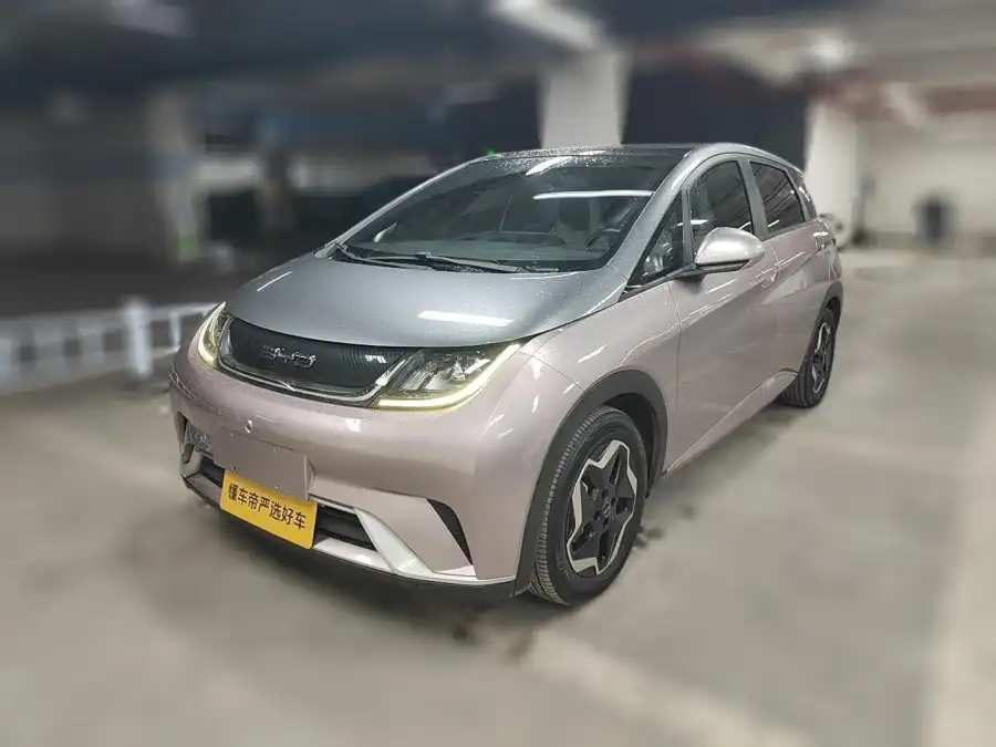BYD Dolphin Style