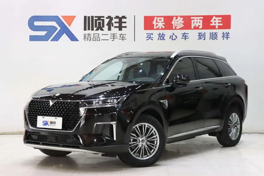 Venucia Xing 260T 48V