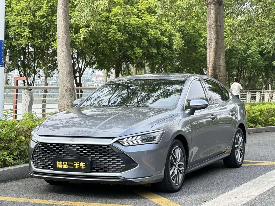 BYD Qin PLUS DM DM-i 55KM Flagship