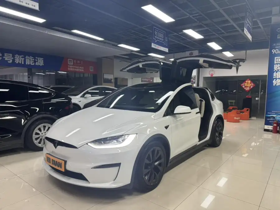 Tesla Model X Dual Motor
