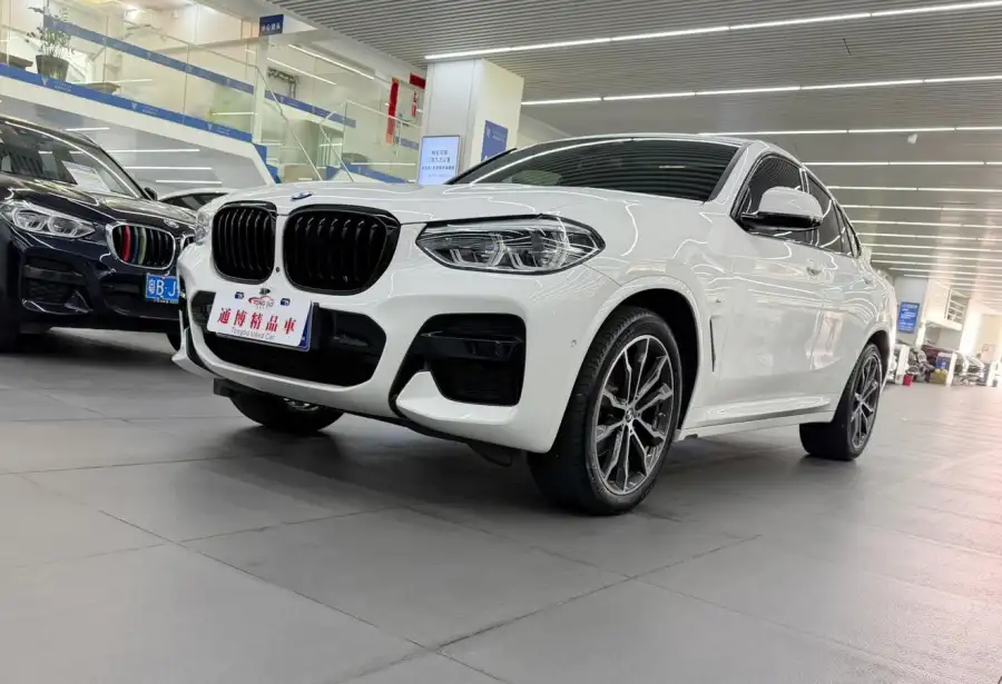 BMW X4 xDrive25i M