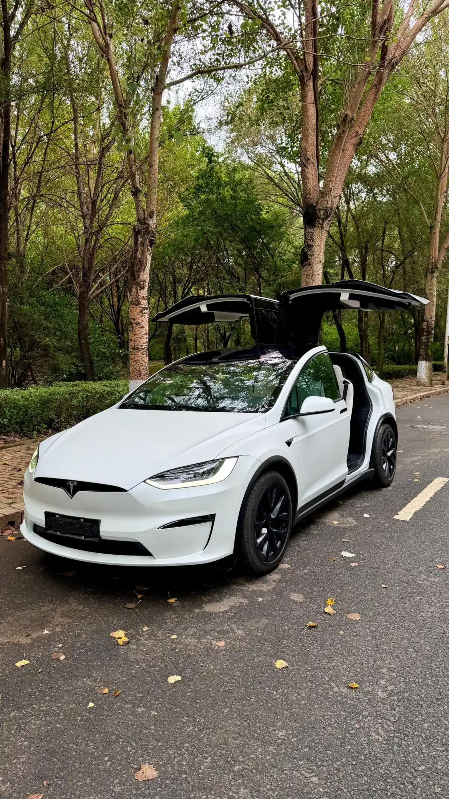 Tesla Model X Dual Motor
