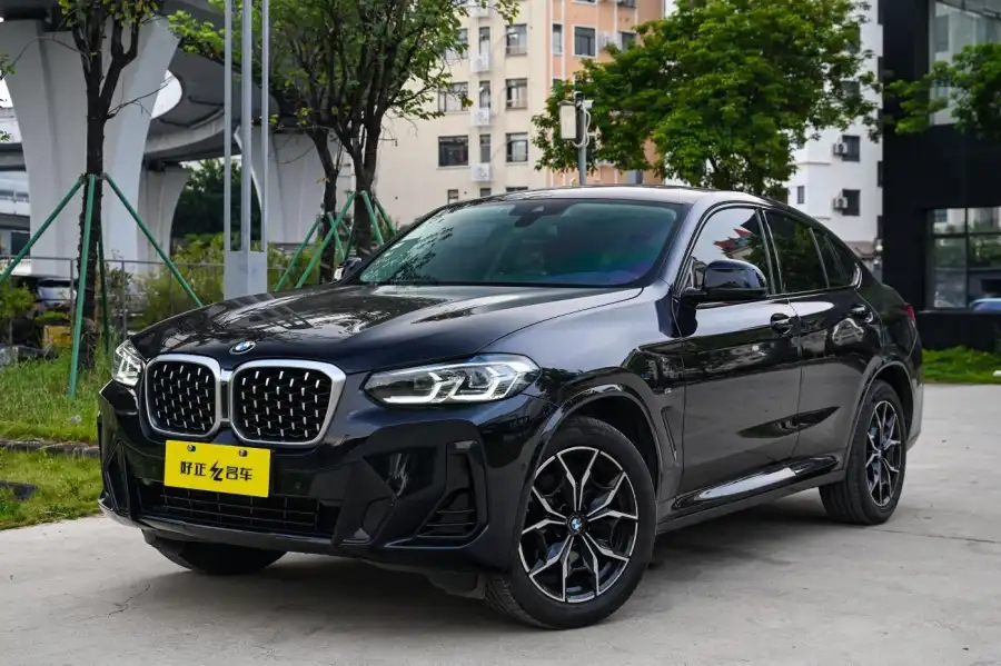 BMW X4 xDrive 25i M