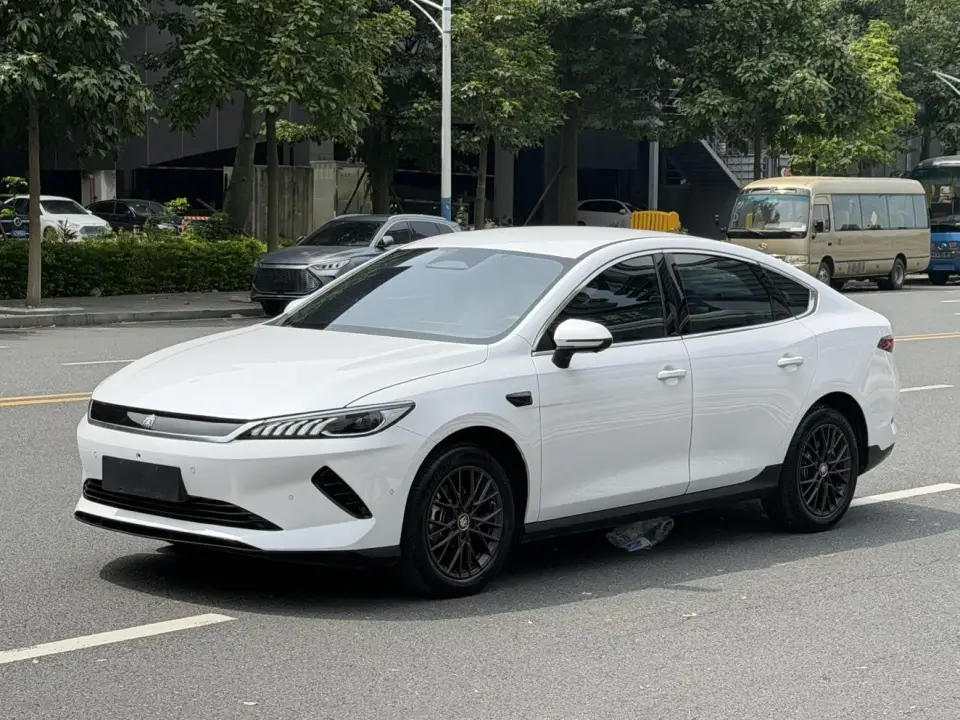 BYD Qin Plus EV 510KM Lead