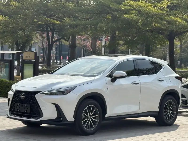 Lexus NX 260 2WD