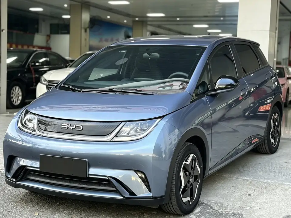 BYD Dolphin 420KM