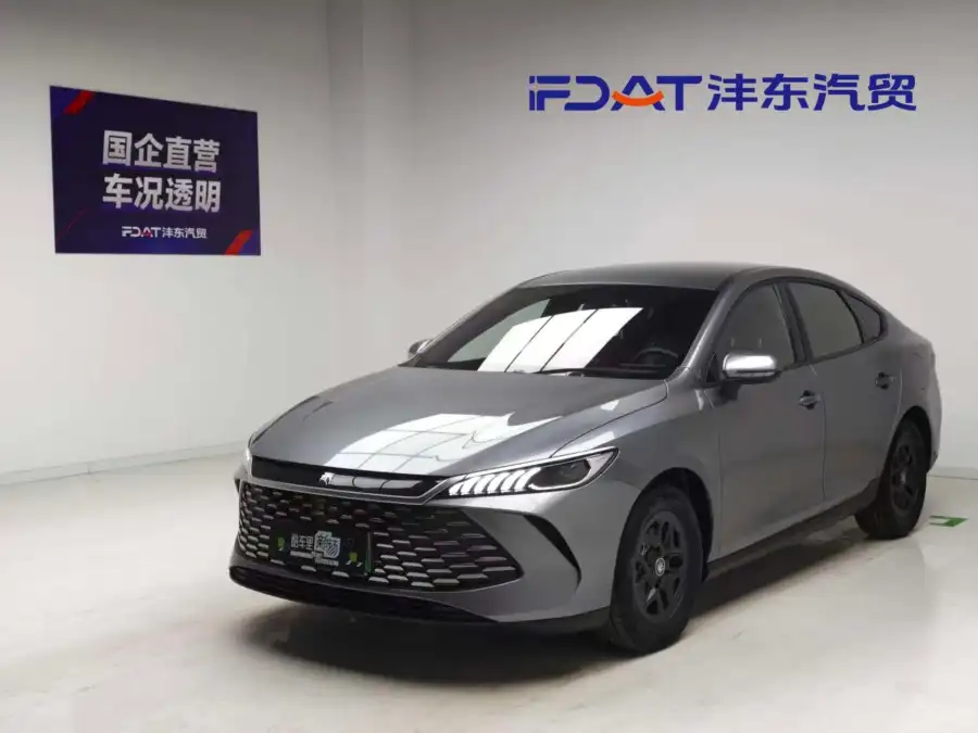 BYD Qin PLUS DM DM-i 55KM Lead