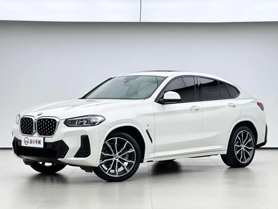 BMW X4 xDrive 25i M