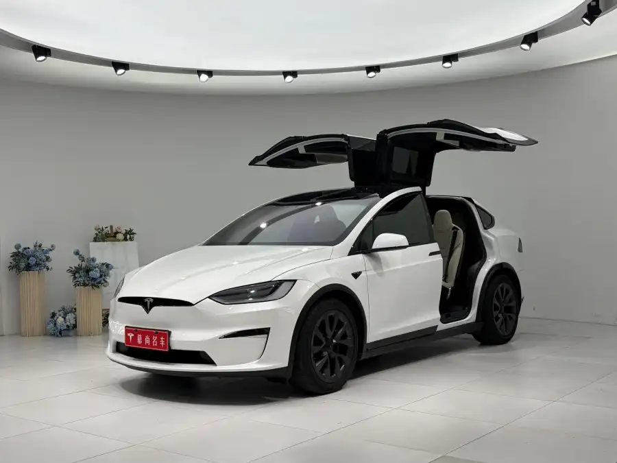 Tesla Model X Dual Motor